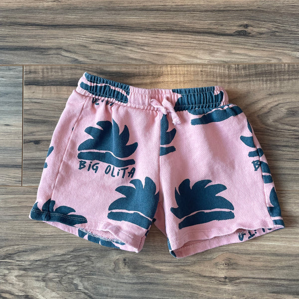 Size 3-4 ZARA Big Olita tropical shorts