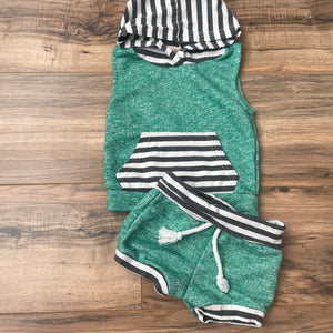 6/9m comparable hooded sweat set