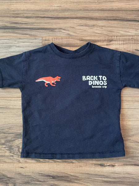 Size 2 Z@RA Jurassic shirt