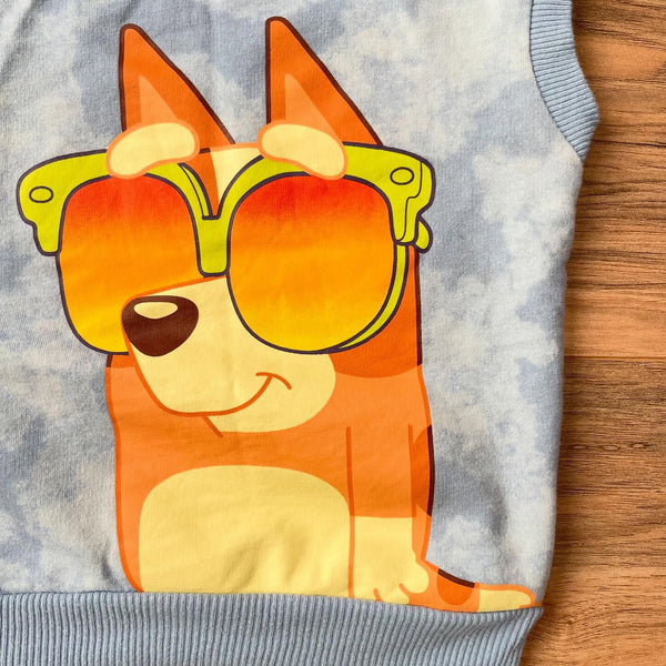 2/3T Bluey & Bingo hooded tie-dye shirt w/front + back graphics — photo 2