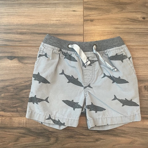 12m Carter's Gray Shark Shorts